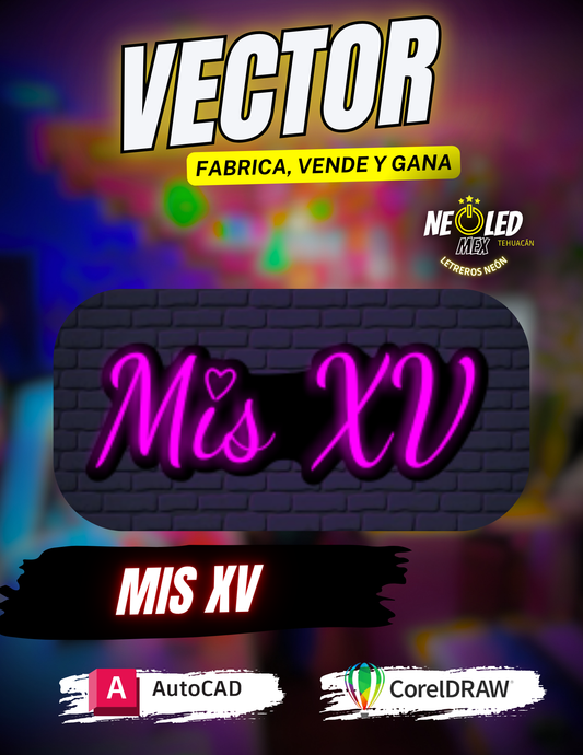 VECTOR MIS XV